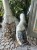 IMG_9064.jpeg