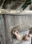 IMG_9072.jpeg