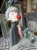 IMG_9080.jpeg