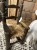 IMG_9292.jpeg