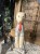 IMG_9299.jpeg