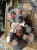 IMG_9306.jpeg