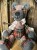 IMG_9308.jpeg