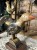 IMG_9321.jpeg