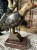 IMG_9320.jpeg