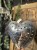 IMG_9344.jpeg