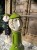 IMG_9333.jpeg
