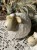 IMG_9350.jpeg