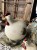 IMG_9355.jpeg