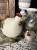 IMG_9353.jpeg