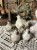 IMG_9363.jpeg