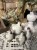 IMG_9360.jpeg