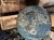 IMG_9374.jpeg