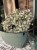 IMG_9397.jpeg