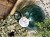 IMG_9401.jpeg