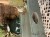 IMG_9407.jpeg