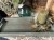 IMG_9408.jpeg
