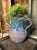 IMG_9377.jpeg