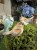 701009963_1650687703566967_4160363219806498608_n.jpg