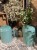 IMG_9588.jpeg