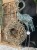 IMG_9640.jpeg