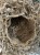IMG_9642.jpeg