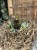 IMG_9643.jpeg