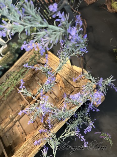 IMG_9660.jpeg