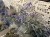 IMG_9661.jpeg