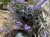 IMG_9662.jpeg