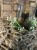 IMG_9645.jpeg