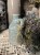 IMG_9671.jpeg