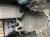 IMG_9678.jpeg
