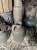 IMG_9679.jpeg