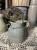 IMG_9681.jpeg