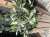 IMG_9703.jpeg