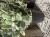 IMG_9704.jpeg