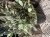 IMG_9706.jpeg
