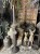 IMG_9710.jpeg