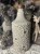 IMG_9721.jpeg