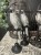 IMG_9729.jpeg