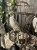 IMG_9730.jpeg