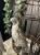 IMG_9731.jpeg