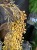 IMG_9804.jpeg