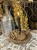 IMG_9808.jpeg