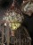 IMG_9856.jpeg