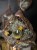 IMG_9859.jpeg