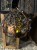 IMG_9865.jpeg