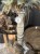 IMG_9889.jpeg