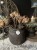 IMG_9907.jpeg